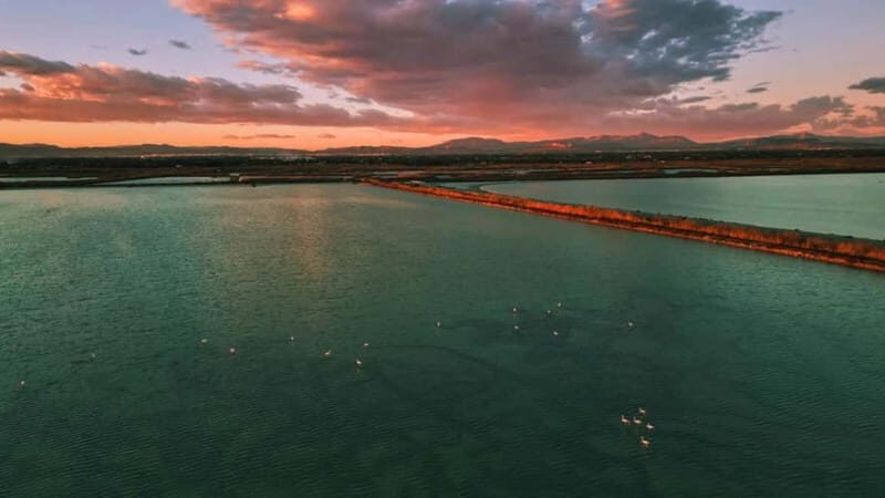 From Alicante/Benidorm: Tabarca Island & Santa Pola Salinas - Deep Dive into the Value