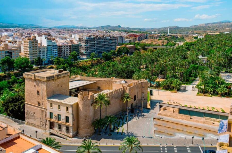 From Alicante: Elche Half-Day of Palms, History & Heritage - Starting Point: Alicante’s Convenience and Personal Service