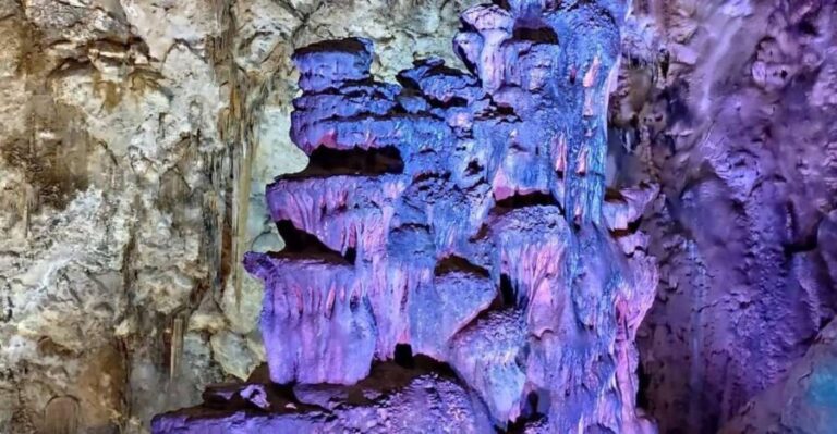 From Alicante: to the caves in Europe, Canelobre. Gidovik - Who Is This Tour Best For?