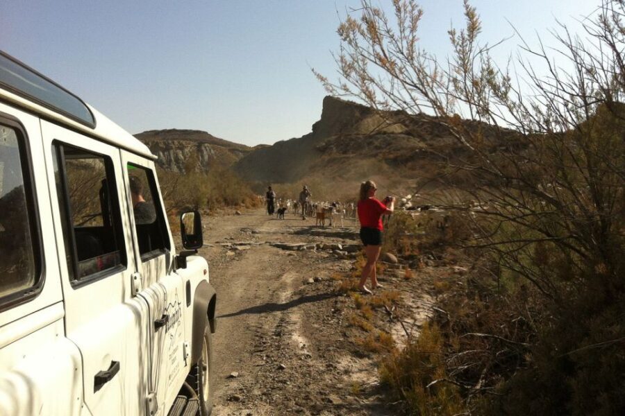 From Almeria: Tabernas Desert 4WD joyriding Tour - Who Should Consider This Tour?
