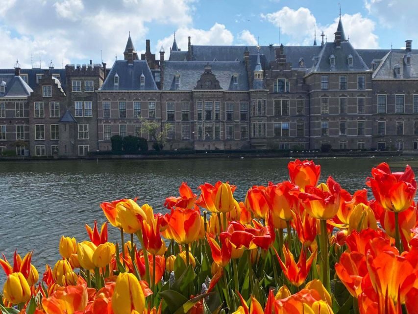 From Amsterdam: Guided Trip to Rotterdam, Delft & The Hague - A Deep Dive into the Experience