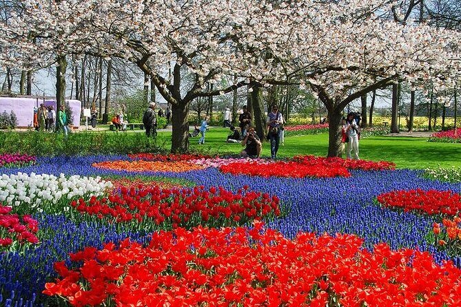 From Amsterdam: Keukenhof Gardens Ticket and Transfer - The Realities: Positives and Considerations