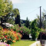 From Argostoli Area:Kefalonia Full-Day Private Tour - Practical Details and Value