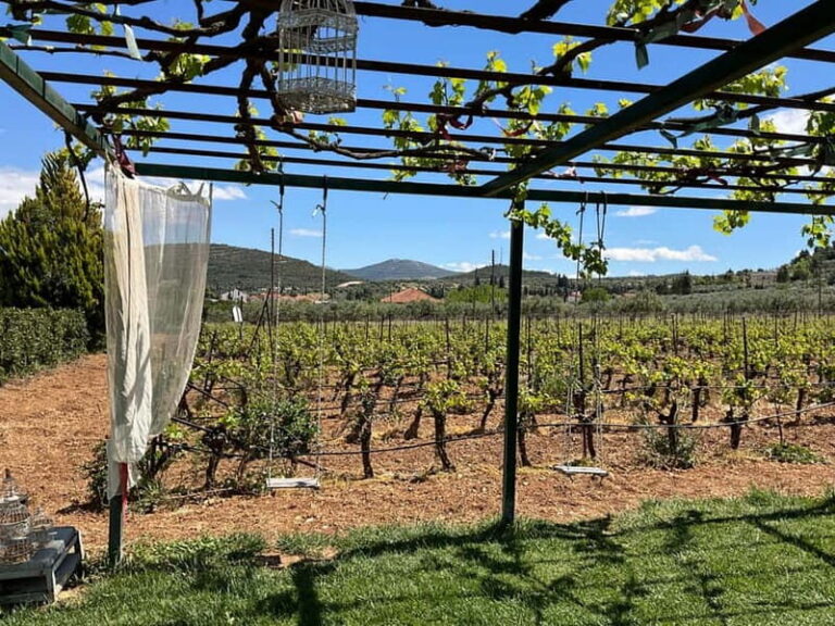 From Athens: Nemea Wine Tour with Corinth Canal Stop - Scenic Highlights and Practical Details