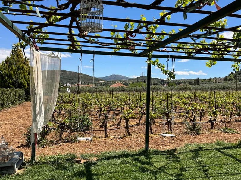 From Athens: Nemea Wine Tour with Corinth Canal Stop - Scenic Highlights and Practical Details