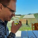 From Athens: Olive Oil Tasting, Olive Grove & Wine Experience - Who Will Love This Tour?