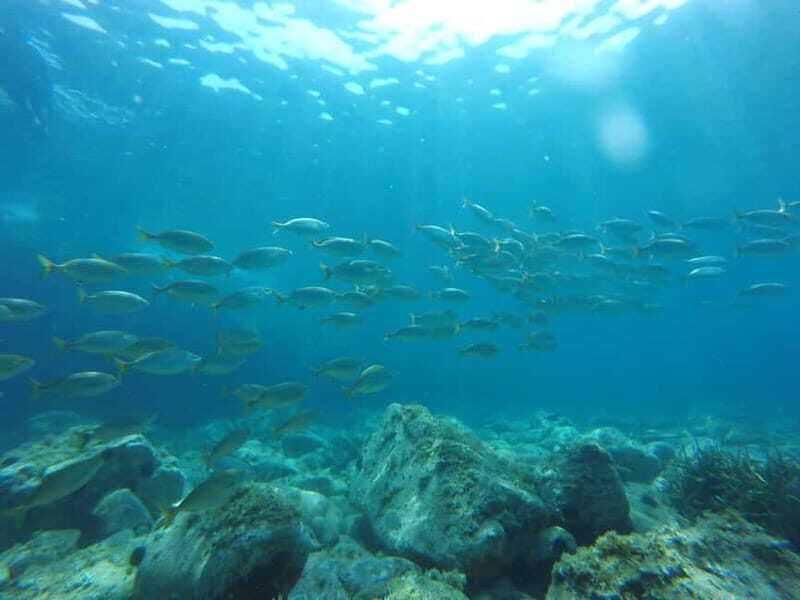 From Barcelona: Costa Brava Private Tour with Lunch - FAQs
