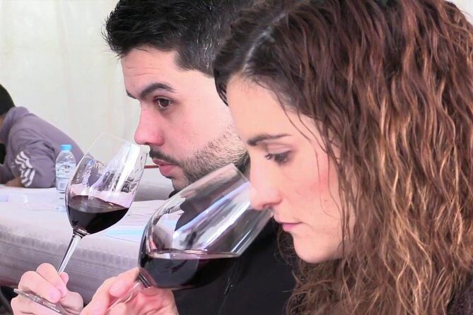 From Barcelona: El Penedès Hike & Wines - Practicalities and Value