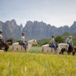 From Barcelona: Half-Day Montserrat & Horse Riding Tour - The Detailed Itinerary Breakdown