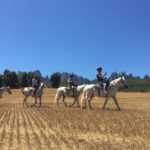 From Barcelona: Horseback Tour in Montserrat National Park - Authentic Experiences and Practical Details