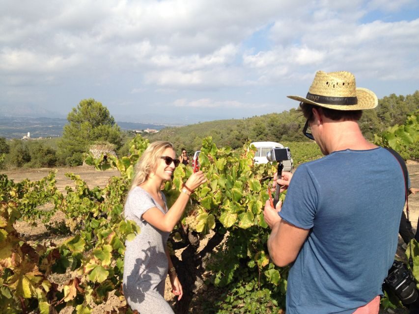 From Barcelona: Montserrat Lunch & Wine Tasting in Vineyard - Practical Tips for Travelers