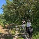From Barcelona: PRIVATE Horseback Ride + Tapas + Picnic - Discovering the Penedès: Whats Included and What to Expect