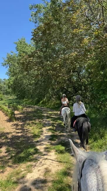 From Barcelona: PRIVATE Horseback Ride + Tapas + Picnic - Discovering the Penedès: Whats Included and What to Expect