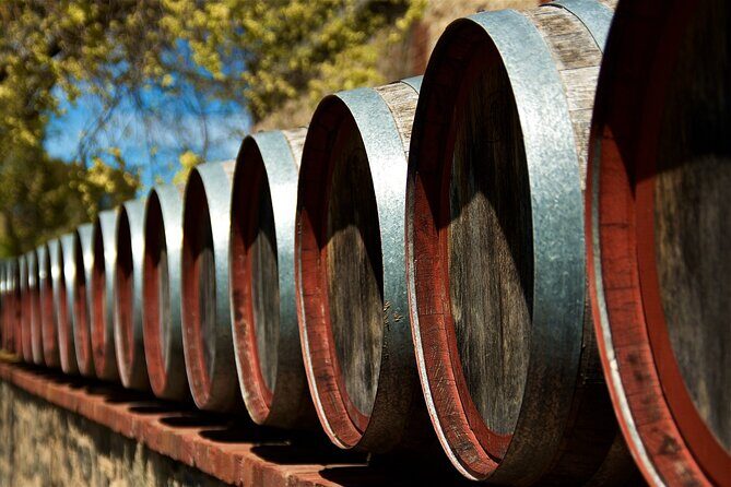 From Barcelona: Wine Cellar Visit in Penedes with Tasting - What Makes This Tour Stand Out?
