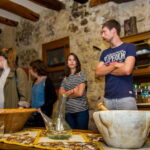 From Barcelona:Penedès Wine&Cava half-day trip with Workshop - Why This Tour Stands Out