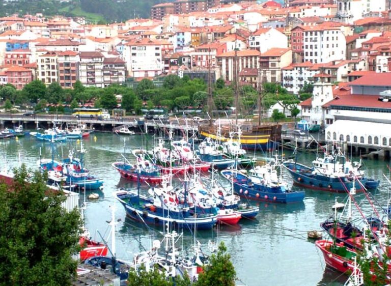 From Bilbao: Gaztelugatxe, Bermeo and Gernika Day Trip - Authentic Experiences and Highlights from Reviews
