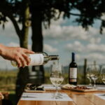 From Bilbao: La Rioja a journey to the vineyards & tradition - A Detailed Look at the La Rioja Tour from Bilbao