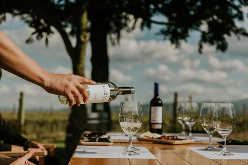 From Bilbao: La Rioja a journey to the vineyards & tradition - A Detailed Look at the La Rioja Tour from Bilbao