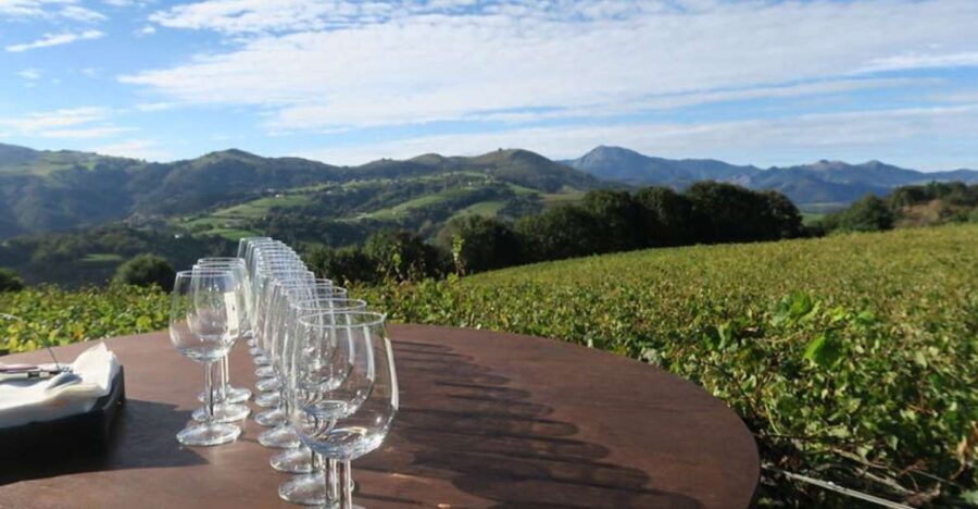 From Bilbao: Private San Sebastian, Pintxo, and Wine Tour - The Getaria Family Winery