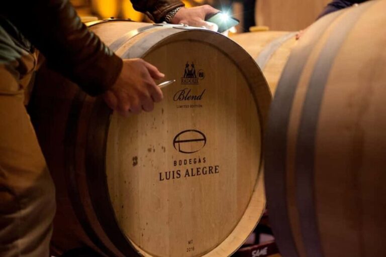 From Bilbao: Private Winery Tour with Wine Tasting & Lunch - A Deep Dive into the Experience