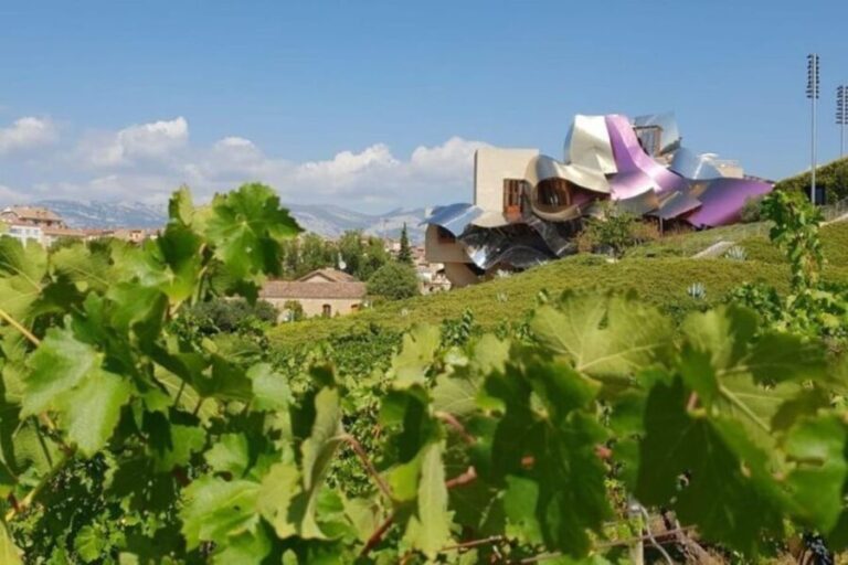 From Bilbao: Rioja Architecture and Wine Tour - A Closer Look at the Experience