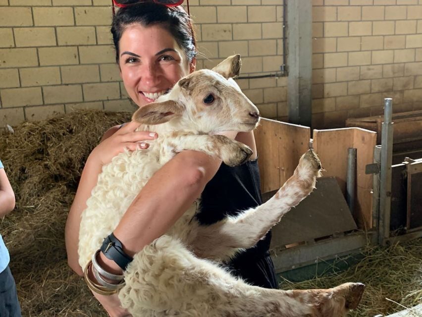From Bilbao: San Sebastian and Basque Cheese Farm Tour - What’s Included and Practical Tips