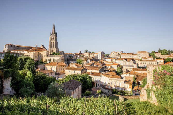 From Bordeaux: Saint-Émilion Half-Day Trip with Wine Tasting - Who Should Book This Tour?