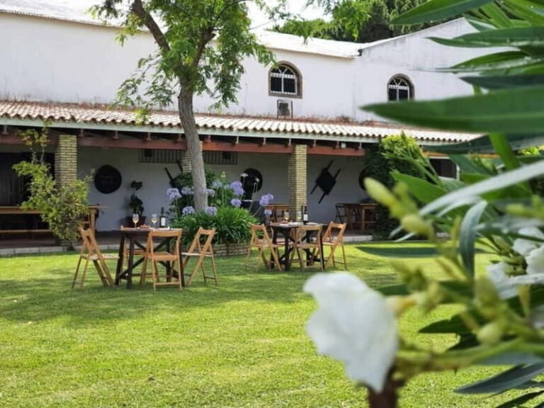 From Cádiz: Chiclana de la Frontera Winery Tour with Lunch - The Practicalities