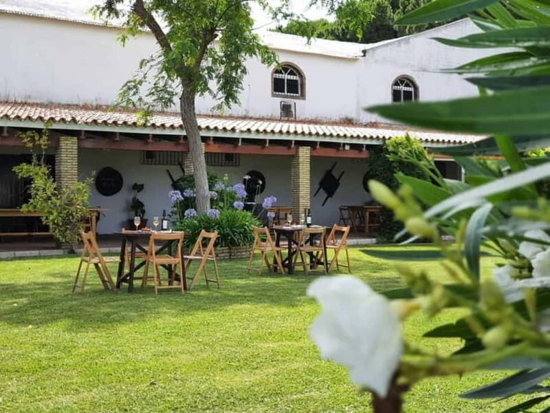 From Cádiz: Chiclana de la Frontera Winery Tour with Lunch - The Practicalities