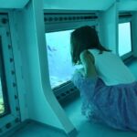 From Cala Ratjada: East Coast Glass-Bottom Boat Trip - The Experience in Detail