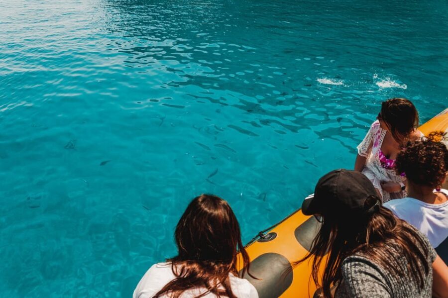 From Can Picafort: Dolphin Watching and Cave Boat Trip - Authentic Experiences and Real Reviews