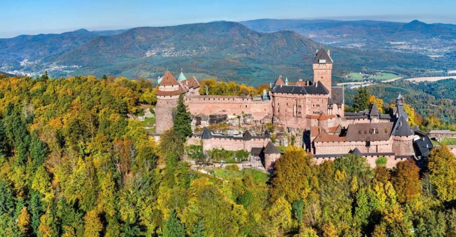 From Colmar: Alsace wine route tour Full Day - Authentic Experiences That Make This Tour Stand Out