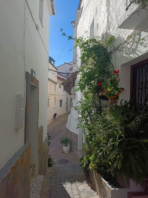 From Costa del Sol: Casares Private Tour - Exploring Casares: An Authentic Andalusian Village