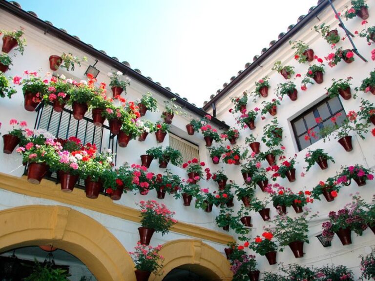 From Costa del Sol: Day Trip to Cordoba Free Time - A Close Look at the Experience