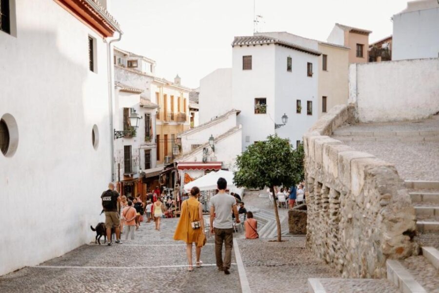 From Costa del Sol: Granada Day Trip Free Time 5h - Who Should Consider This Trip?