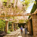 From Costa del Sol: Granada Full-Day Tour - What the Reviews Say: Authentic Experiences and Practical Tips