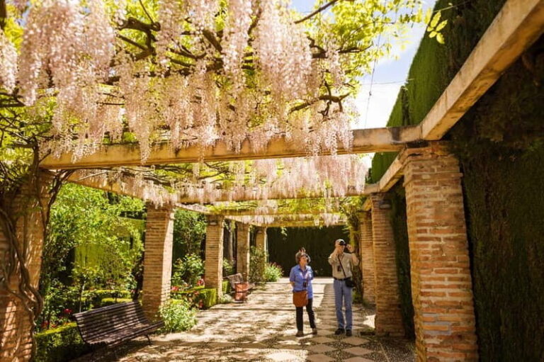 From Costa del Sol: Granada Full-Day Tour - What the Reviews Say: Authentic Experiences and Practical Tips