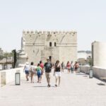 From Costa del Sol & Malaga: Cordoba Guided Day Tour - A Deep Dive into the Experience