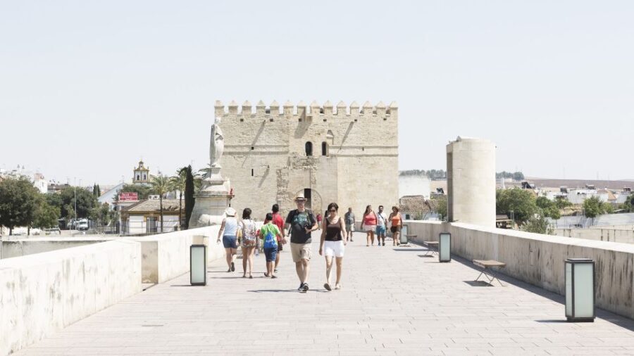 From Costa del Sol & Malaga: Cordoba Guided Day Tour - A Deep Dive into the Experience