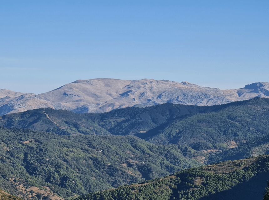 From Costa del Sol: Sierra Bermeja Private Hiking Tour - A Detailed Look at the Sierra Bermeja Hiking Tour