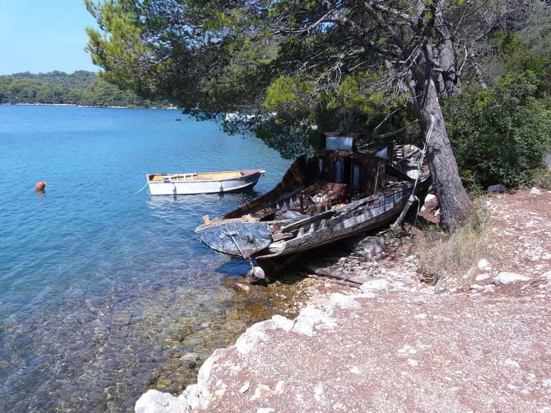 From Dubrovnik: Mljet Island Guided Catamaran Day Tour - What to Expect: A Detailed Breakdown