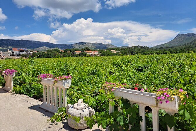 From Dubrovnik: Peljesac Wine Tasting Private Tour - Transportation & Comfort