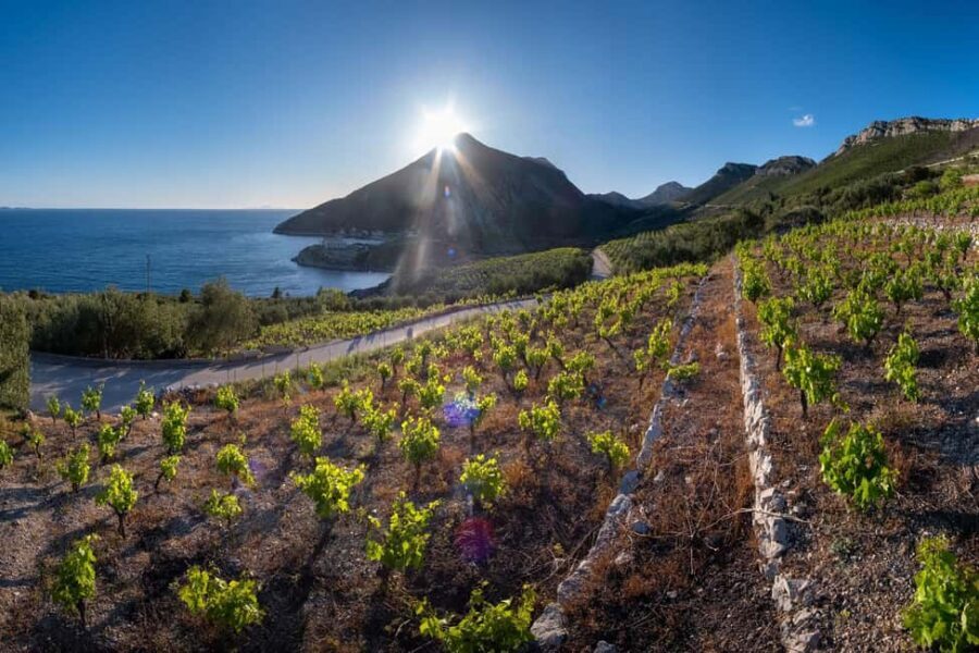 From Dubrovnik: Private Peljeac Wine Region and Ston Tour