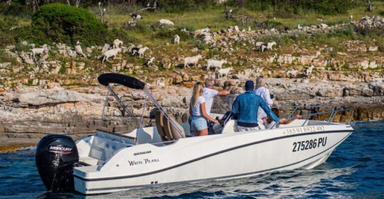 From Faana: Private boat tour of Brijuni Islands - The Itinerary in Detail