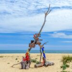 From Faro: Ria Formosa Eco Tour guided by Marine Biologist - A Detailed Look at the Ria Formosa Eco Tour