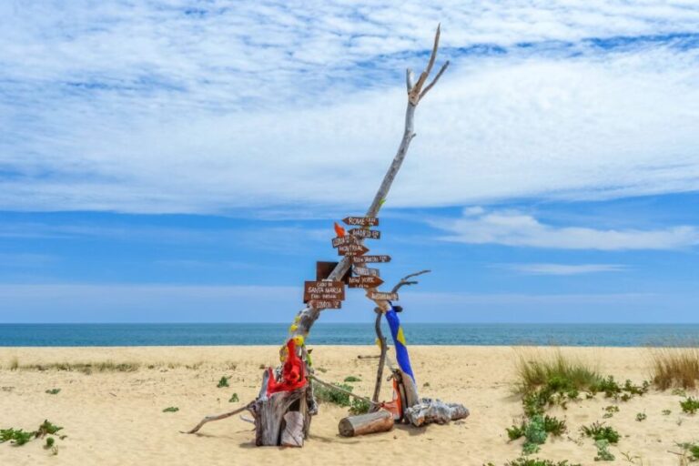 From Faro: Ria Formosa Eco Tour guided by Marine Biologist - A Detailed Look at the Ria Formosa Eco Tour