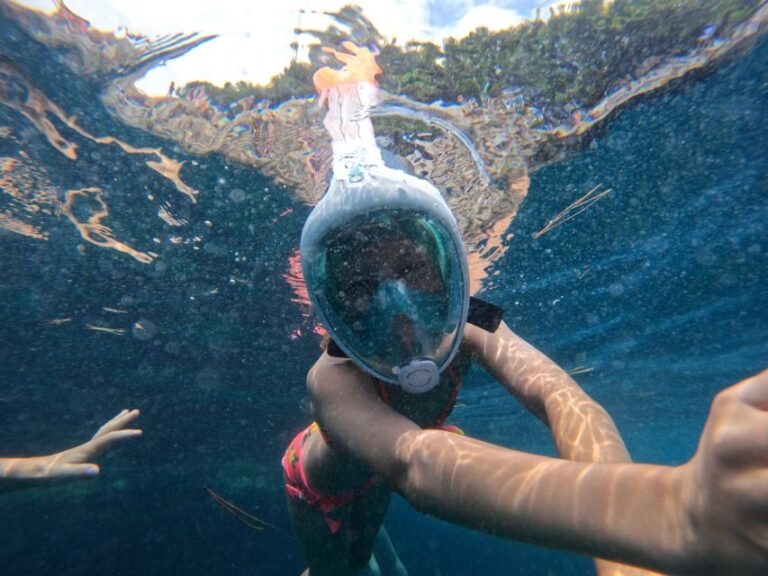 From Fazana: Rovinj full day Private boat tour - Whats Included and Whats Not