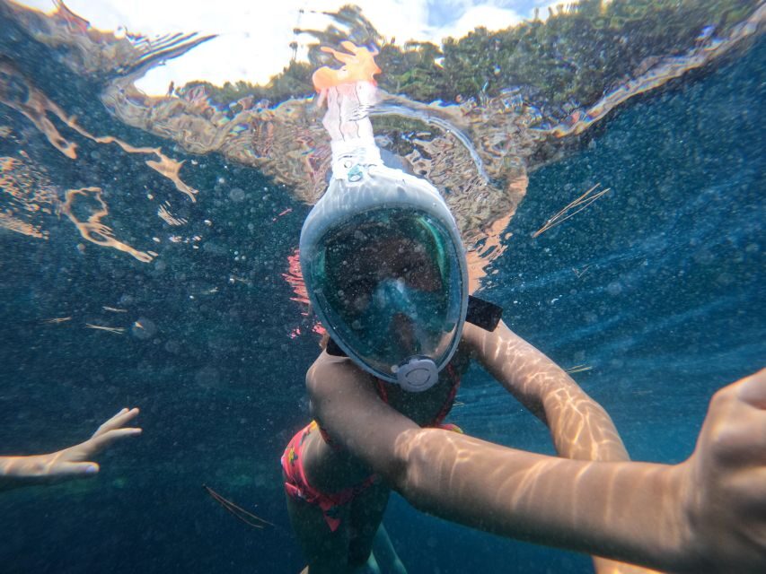 From Fazana: Rovinj full day Private boat tour - Whats Included and Whats Not