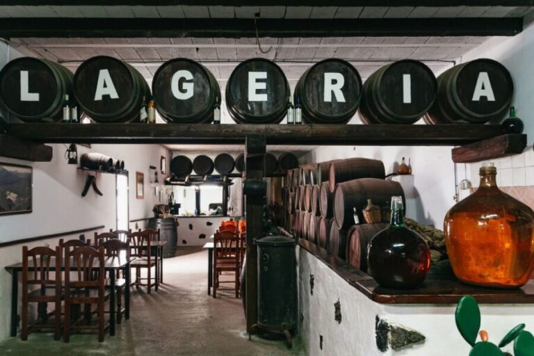 From Fuerteventura: Lanzarote Tour (lunch, winery and more) - Practical Details and Value