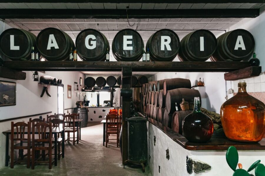 From Fuerteventura: Lanzarote Tour (lunch, winery and more) - Practical Details and Value